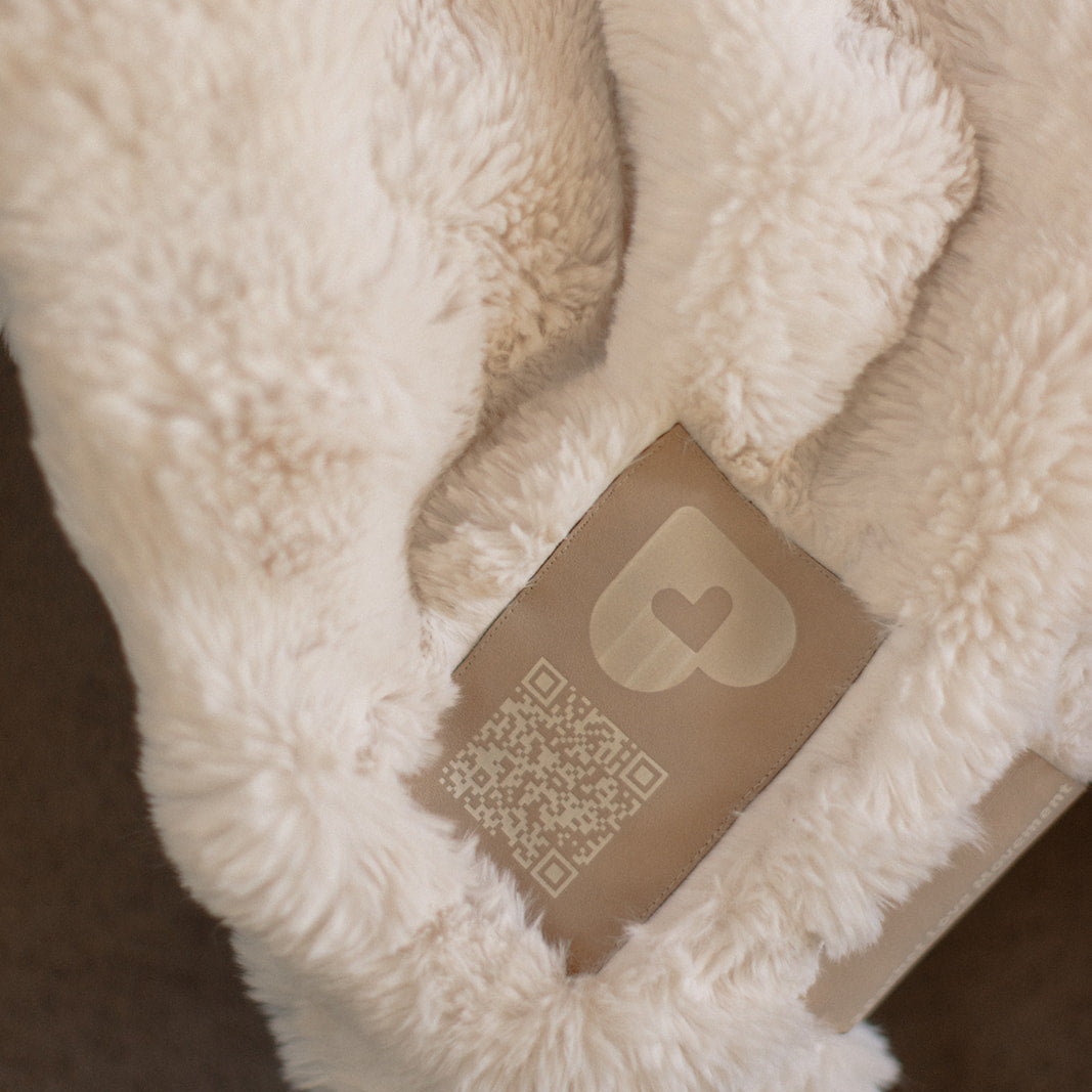 Brook Snuggle Minky Blanket
