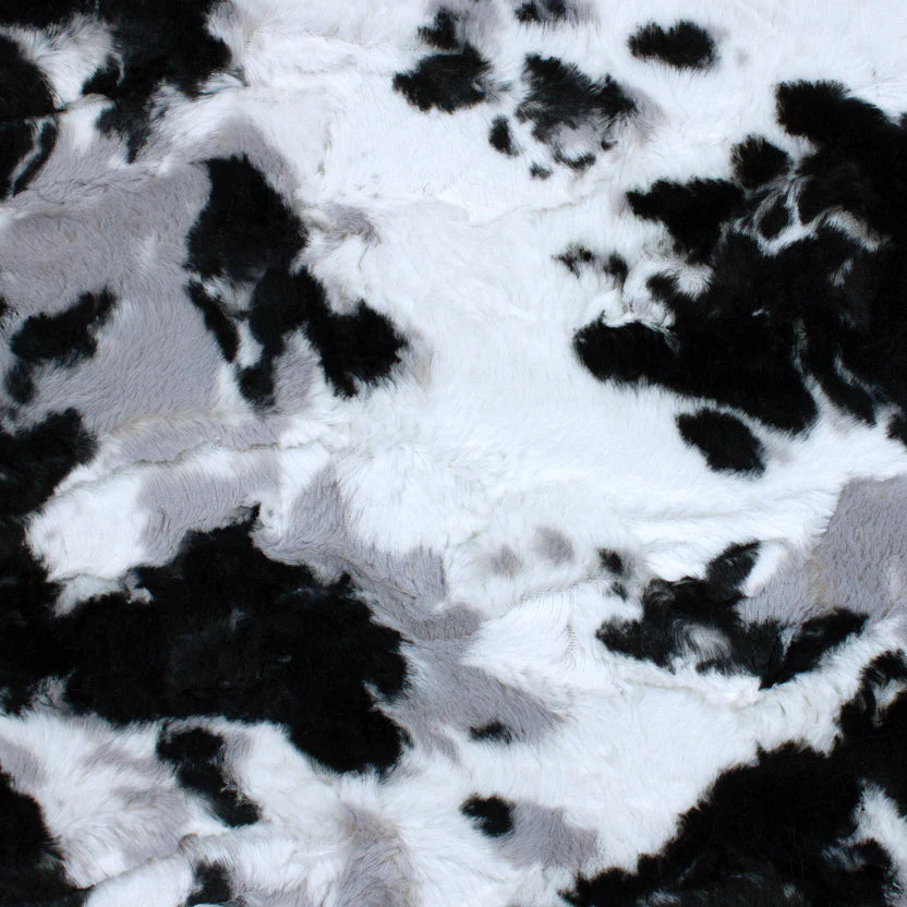 Spotted Appaloosa